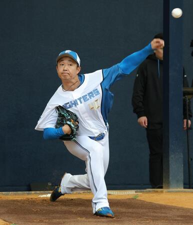 初日からブルペン入りし、投球する島本（撮影・西岡正）