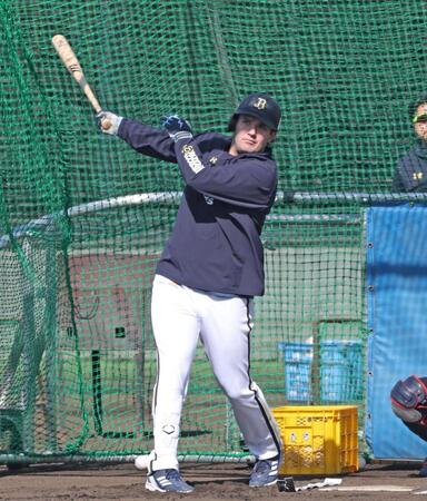 打撃練習で快音を響かせるシーモア（撮影・中田匡峻）