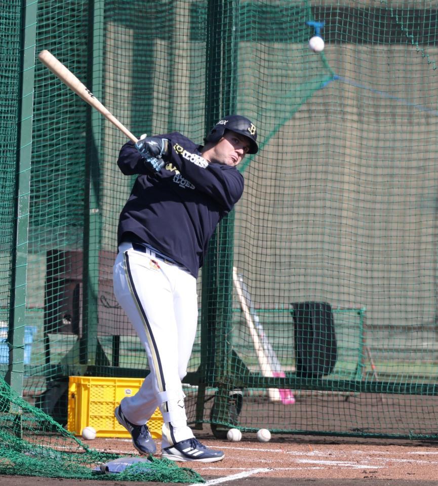 打撃練習で快音を響かせるシーモア（撮影・中田匡峻）