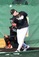 初の屋外フリー打撃で１３本の柵越えを放ったダルベック（撮影・佐藤厚）