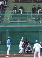 スタンドから紅白戦を見る新庄監督（左上から２人目）＝撮影・西岡正