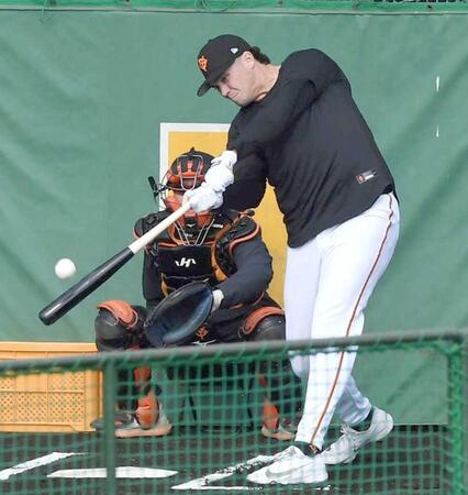 　屋外でフリー打撃を行うダルベック（撮影・佐藤厚）