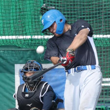 特打で打ち込む野村（撮影・西岡正）