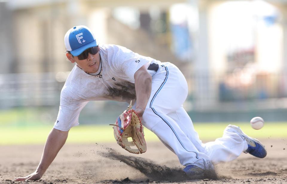 ３日の特守で泥だらけになりながら打球に食らいつく野村（撮影・西岡正）