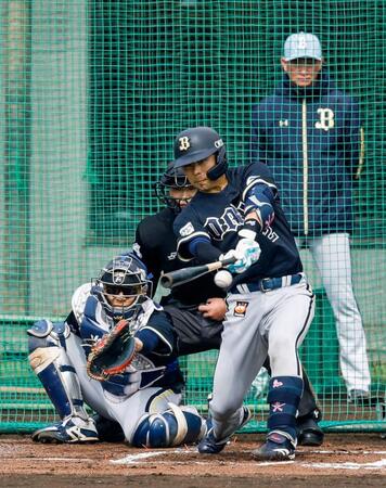 打撃練習する若月。奥は岸田監督