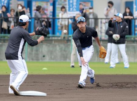 早出で二塁の守備練習に臨む野村（撮影・西岡正）