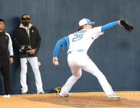 新庄監督（左）が見る前で投球する細野（撮影・西岡正）