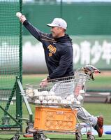 ランチ特打で打撃投手を務める阿部監督（撮影・佐藤厚）