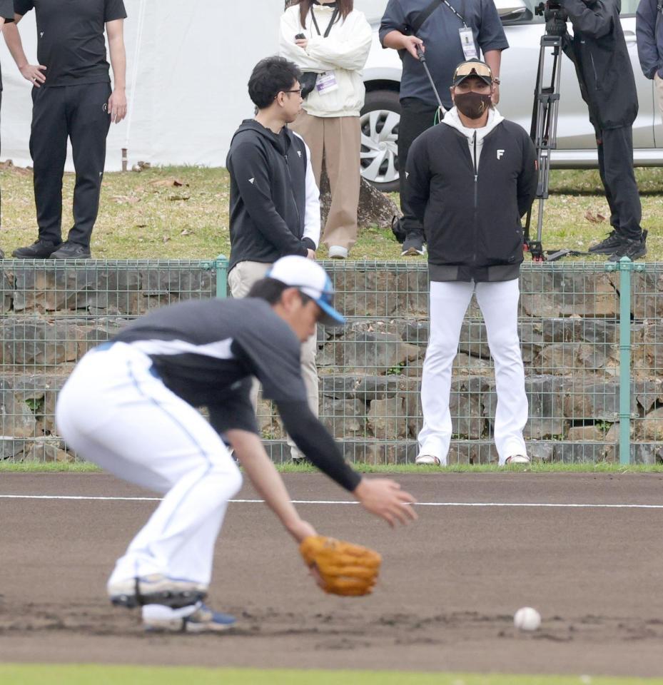 二塁の守備練習をする野村（左）を見つめる新庄監督（撮影・西岡正）