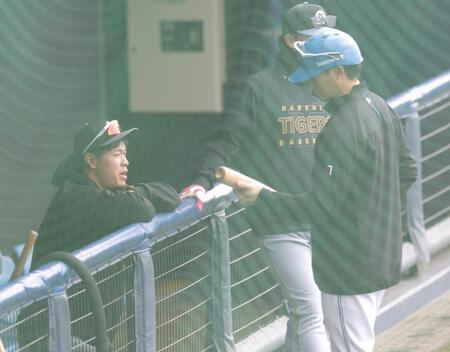 日本ハム・西川と話す阪神・佐藤輝
