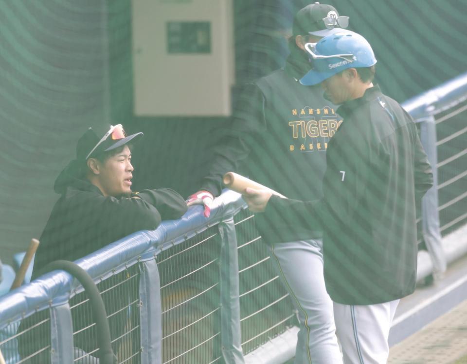 日本ハム・西川と話す阪神・佐藤輝