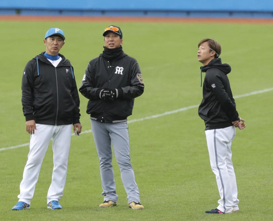 藤川監督（中央）と話す山田コーチ（左）と島本