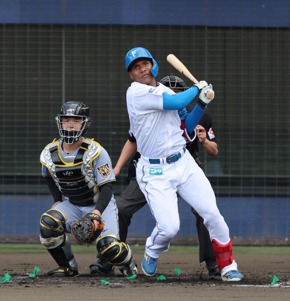 ４回、中越えに二塁打を放つエドポロ（捕手　嶋村）＝撮影・山口登