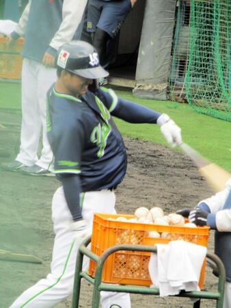 ティー打撃を行う松下（撮影は２月８日　この後、ライブＢＰで柵越えを放った）