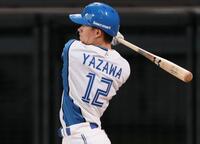 日本ハム・矢沢宏太