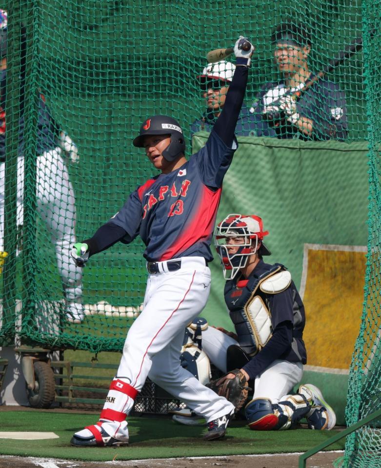 打撃練習する森下（撮影・金田祐二）