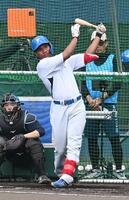 打撃練習をするエドポロ（撮影・持木克友）