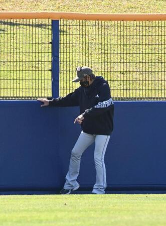 外野のフェンス付近を気にする新庄剛志監督（撮影・持木克友）