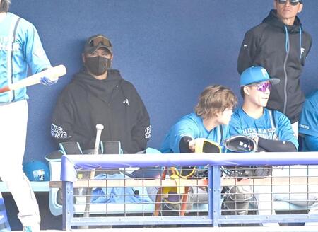 ベンチで戦況を見守る新庄剛志監督（撮影・持木克友）