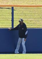 外野のフェンス付近を気にする新庄剛志監督（撮影・持木克友）