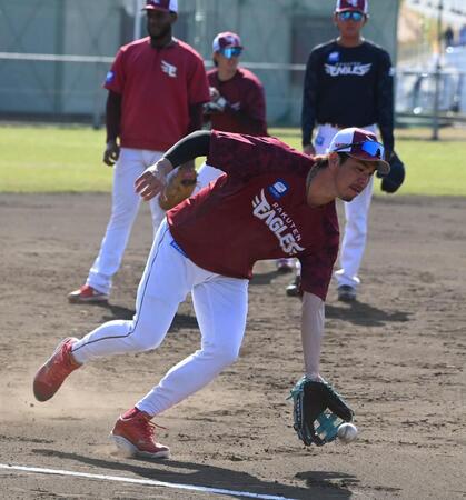 華麗なフィールディングを見せる前田健