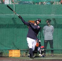 特打で汗を流す佐藤輝（撮影・金田祐二）