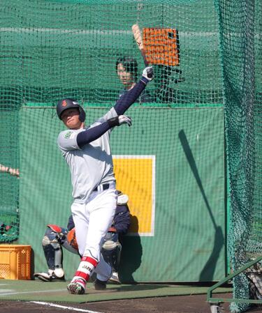 打撃練習する森下（撮影・金田祐二）