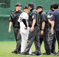 　中断の協議をする井端監督と審判団（撮影・伊藤笙子）