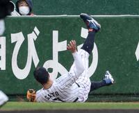 ５回ソフトバンク１死一二塁、ソフトバンク・ジーター・ダウンズの邪飛に飛び込む阪神・佐藤輝明＝ひなたサンマリンスタジアム宮崎（撮影・伊藤笙子）