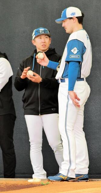 日本ハム・有原 ブルペンで“金子塾” スライダーの握りを金子千尋