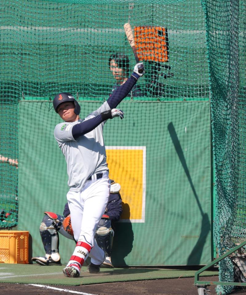 打撃練習する森下（撮影・金田祐二）