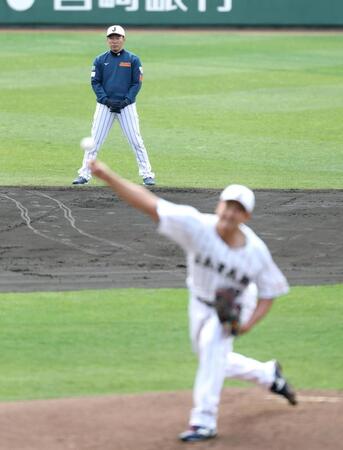 菅野（手前）のライブＢＰを遊撃の位置から見つめる井端監督（撮影・伊藤笙子）