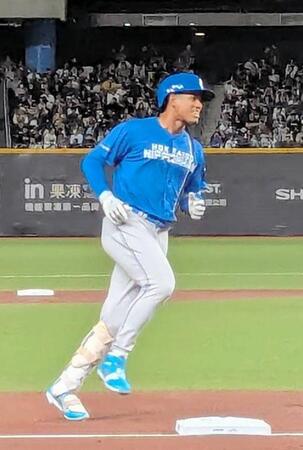 【写真】台湾で年またぎ３戦連発　完全に仕上がってる万波