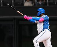 ４回、右前打を放つレイエス（撮影・中島達哉）