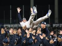 胴上げされる川端（撮影・佐々木彰尚）