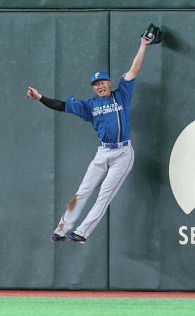 ８回、キャベッジの打球を好捕する西川（撮影・金田祐二）