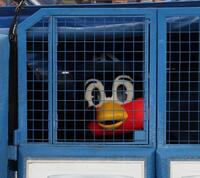 姿を現したつば九郎（撮影・佐々木彰尚）