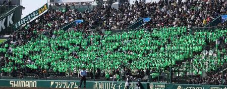 緑色に染まる一塁側アルプス（撮影・中田匡峻）