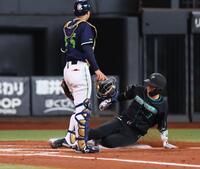 １回、一走・野村が一、二塁間で挟まれる間に本塁へ生還する三走・郡司（捕手ヤクルト・鈴木叶）＝撮影・中島達哉