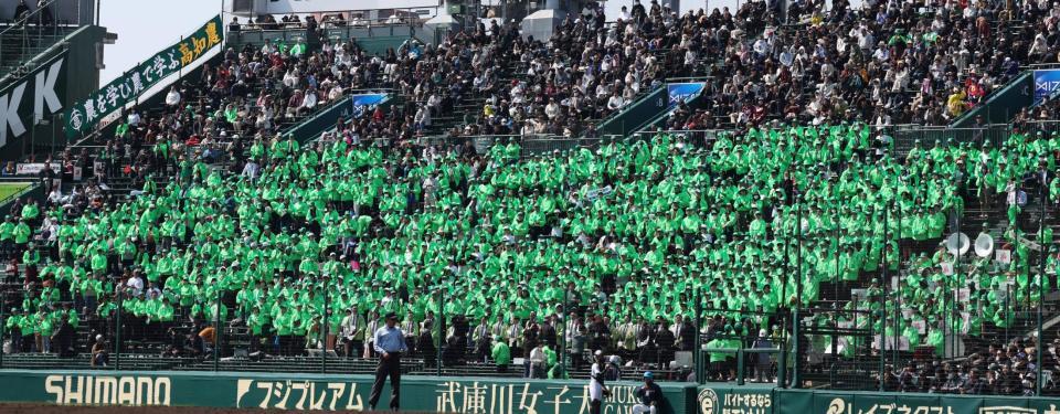 緑色に染まる一塁側アルプス（撮影・中田匡峻）