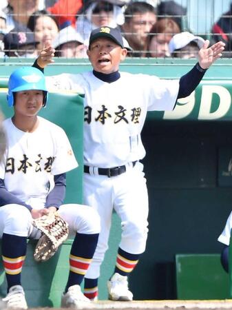 　４回、ベンチから指示を出す日本文理・鈴木監督（撮影・開出牧）