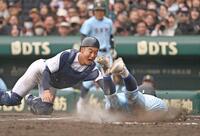 ８回、箕浦の左前打で生還を狙った二走杉本をタッチアウトにする捕手高田