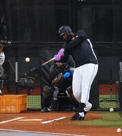 フリー打撃をするレイエス（撮影・中島達哉）