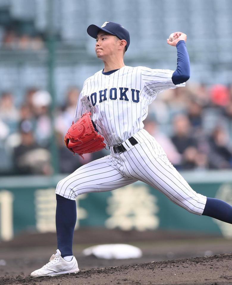 力投する東北・金沢龍希（撮影・開出牧）