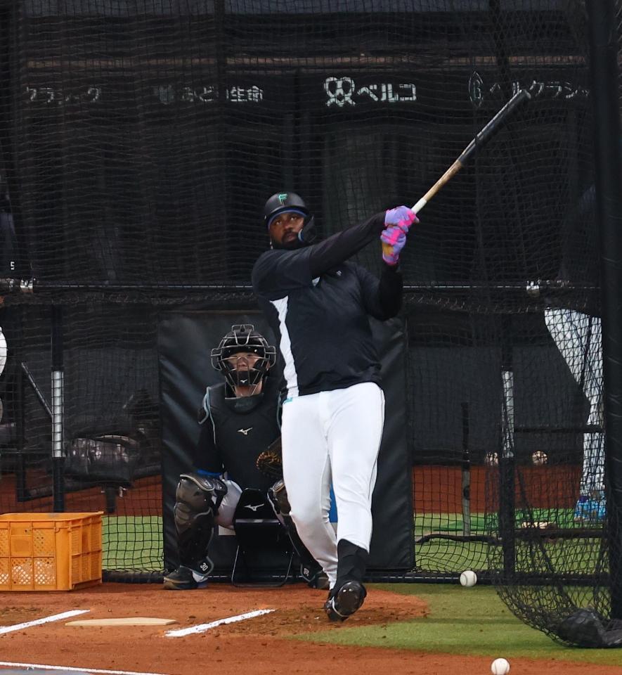 フリー打撃で柵越えを連発するレイエス（撮影・中島達哉）