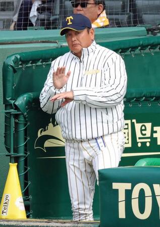 ナインにサインを送る帝京長岡・芝草監督（撮影・立川洋一郎）