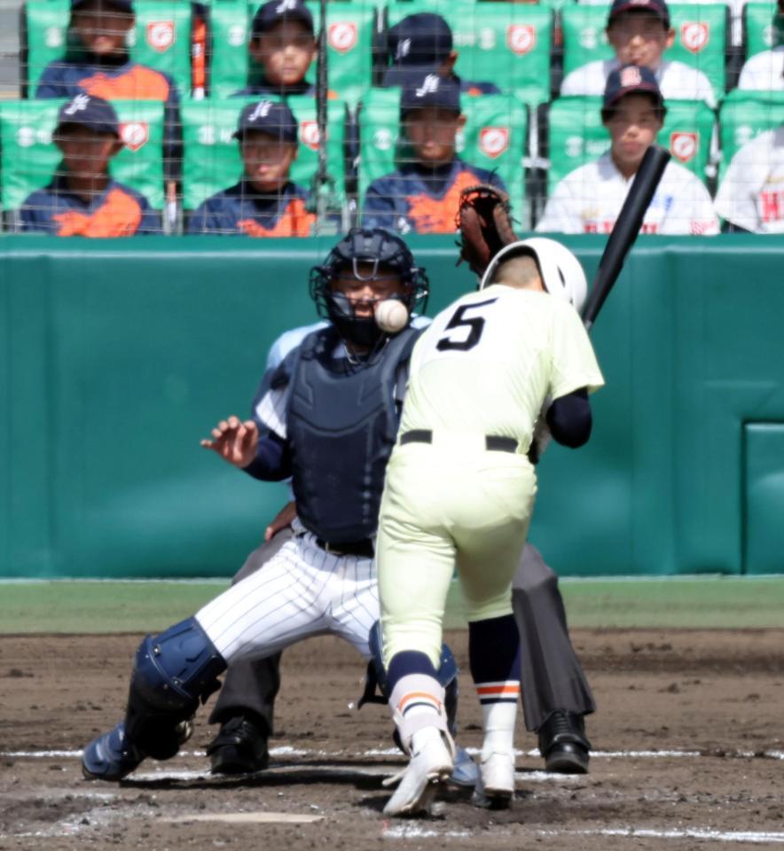 ４回、頭部に死球を受ける英明・榎本侑晟（撮影・山口登）