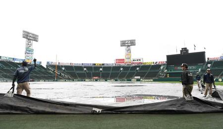 グラウンドのシートを上げる阪神園芸のスタッフ（撮影・高部洋祐）