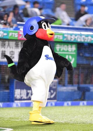 雨のグラウンドに登場しスタンドを沸かせるつば九郎（撮影・開出牧）