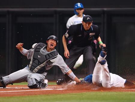 ２回、ロッテ・木村の悪送球の間に本塁へ生還した郡司（撮影・中島達哉）